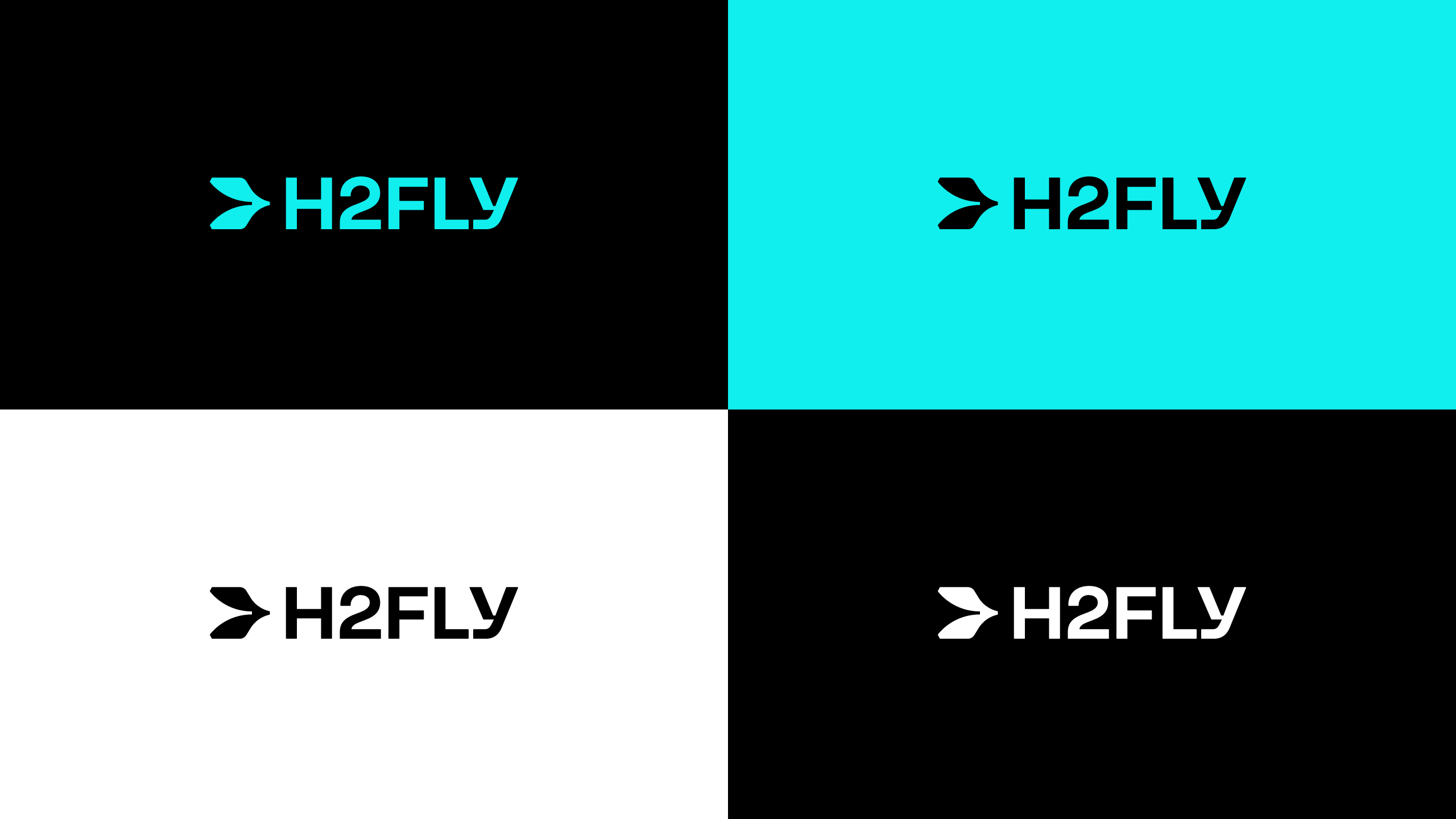 H2FLY logo color variations