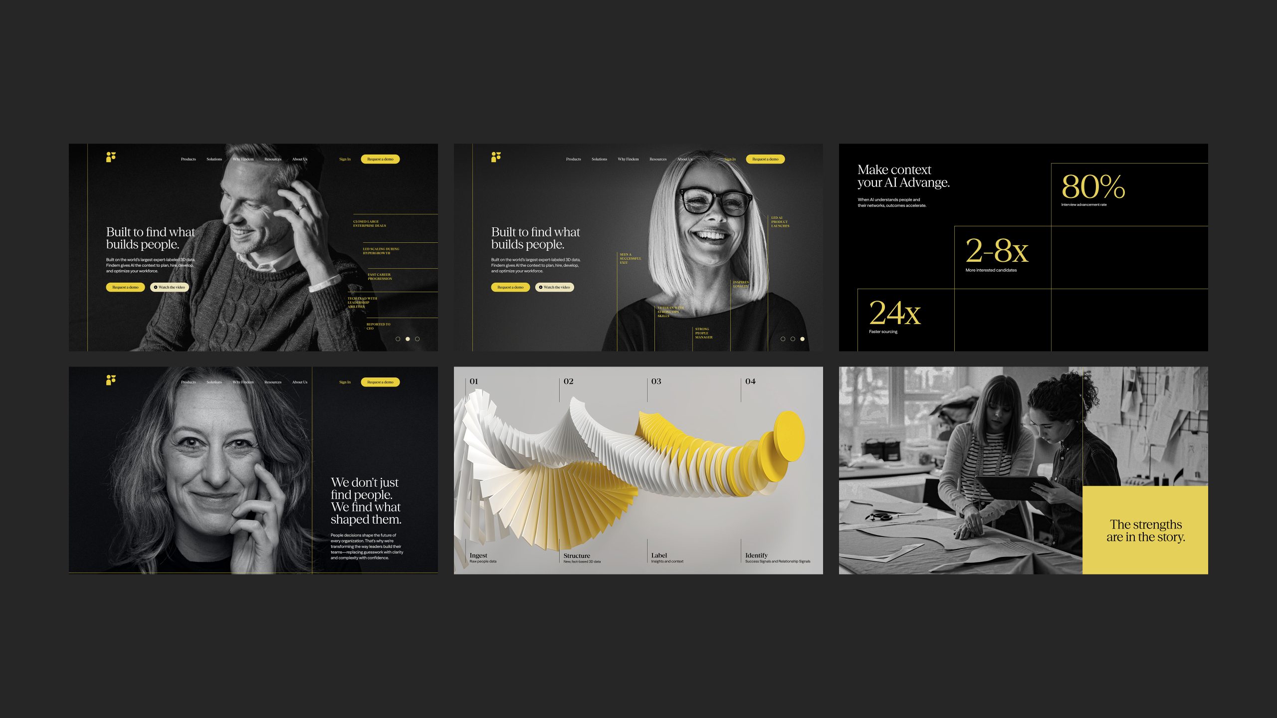 Findem Website Overview